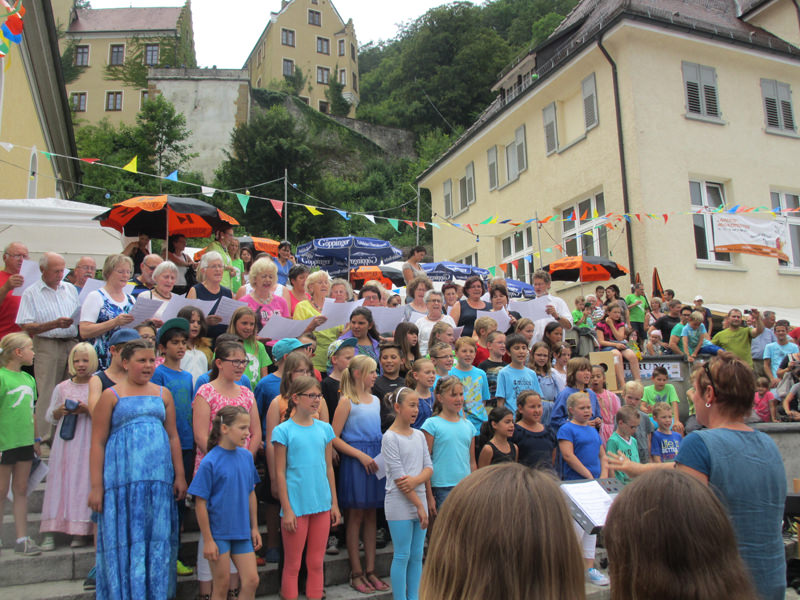 2014 Stadtfest 003